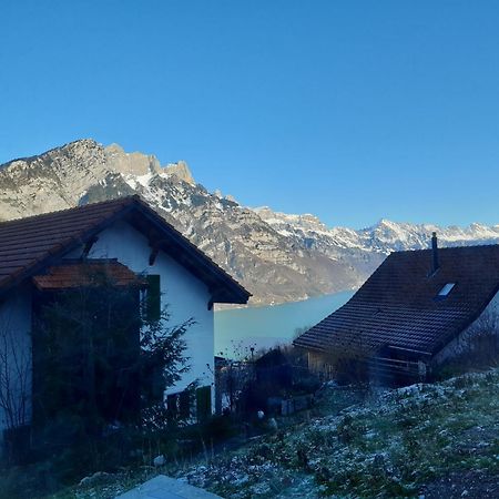 Apartment Panorama Am Walensee In Neubau-Villa Obstalden Экстерьер фото